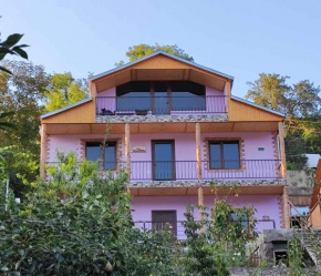 Green guest house